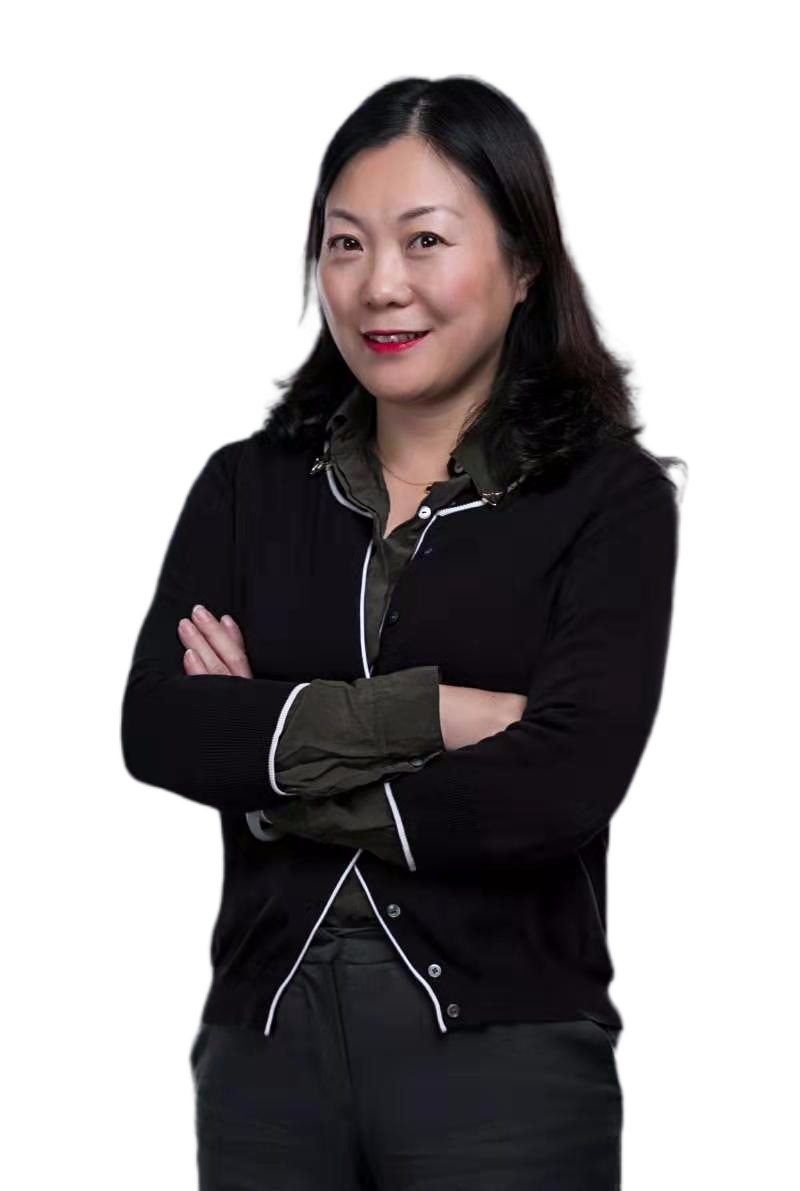 五星金钻代理人